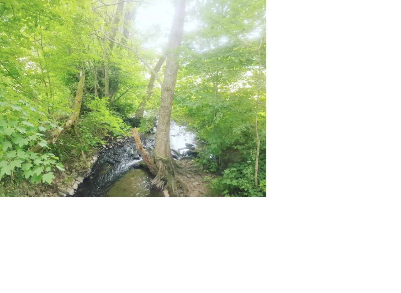 Natur Pur Frielendorf Εξωτερικό φωτογραφία