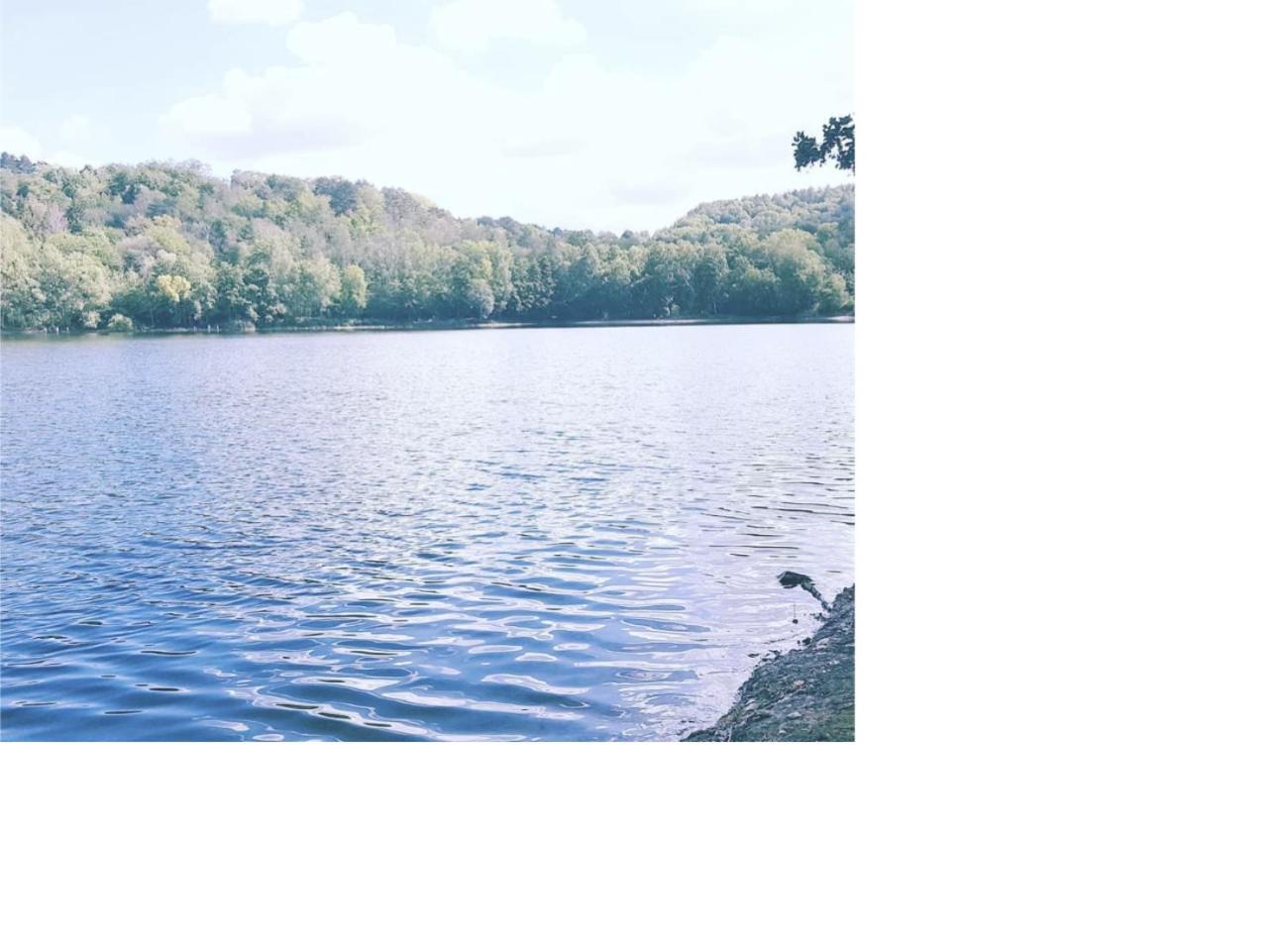 Natur Pur Frielendorf Εξωτερικό φωτογραφία