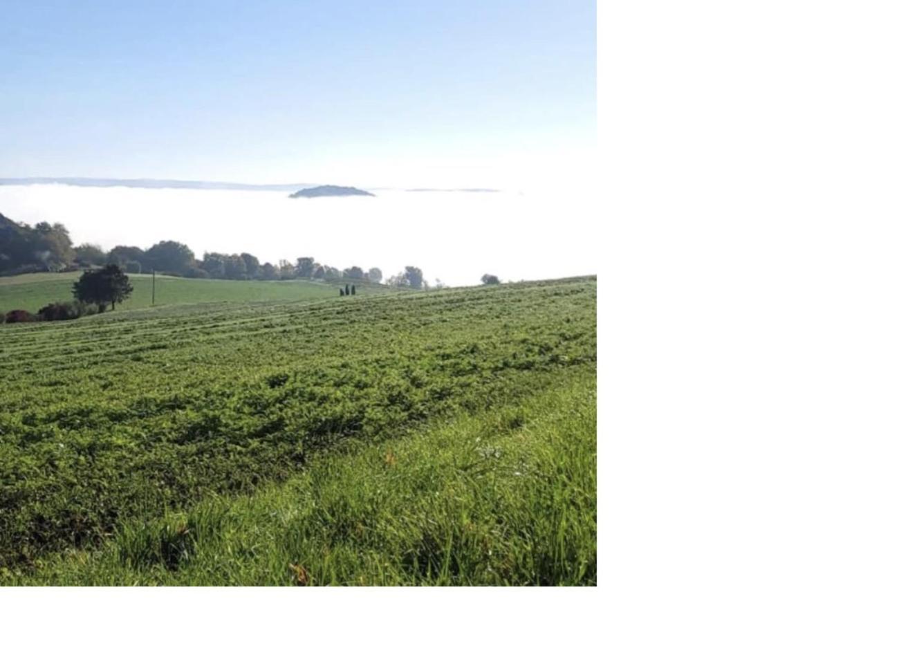 Natur Pur Frielendorf Εξωτερικό φωτογραφία