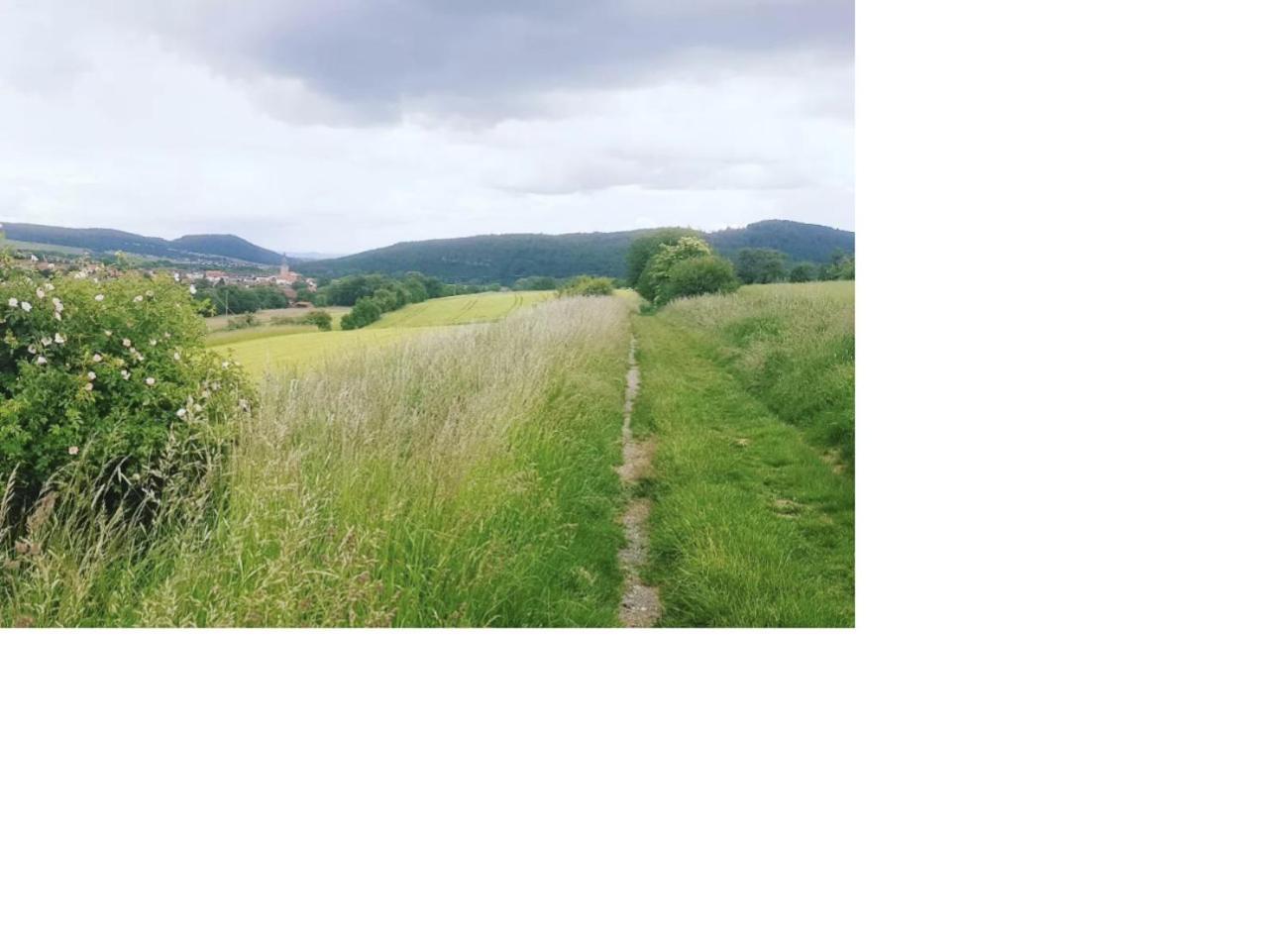 Natur Pur Frielendorf Εξωτερικό φωτογραφία