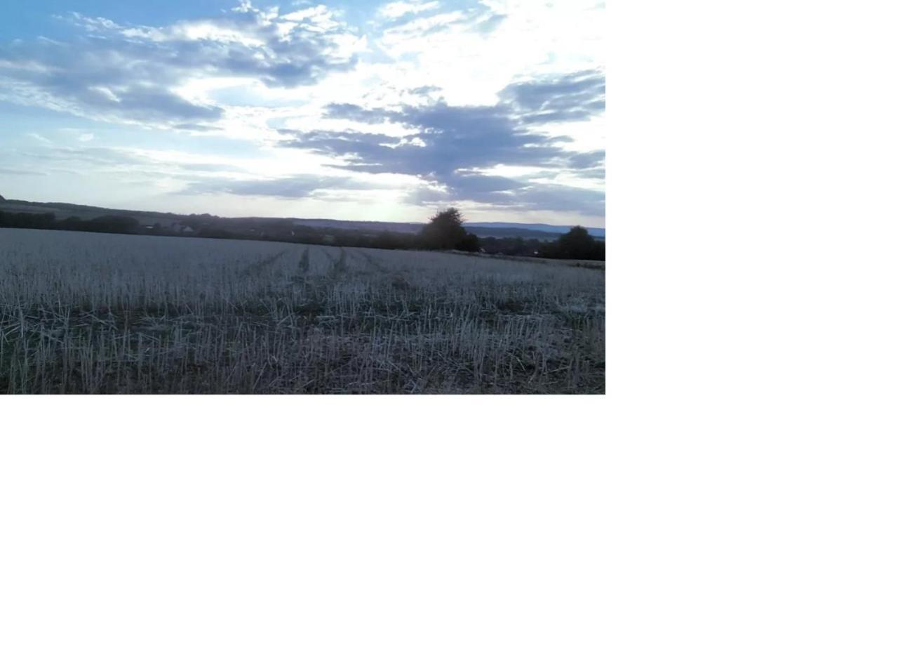 Natur Pur Frielendorf Εξωτερικό φωτογραφία