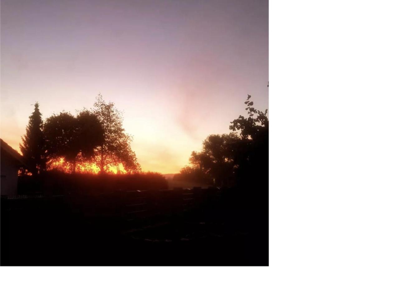 Natur Pur Frielendorf Εξωτερικό φωτογραφία
